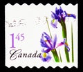 Postage stamp printed in Canada shows Purple Dutch Iris, Flower Definitives 1st series serie, circa 2005