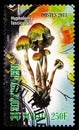 Postage stamp printed in Chad shows Hypholoma fasciculare, Mushrooms serie, circa 2013