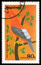 Postage stamp printed in Cinderellas shows Cock of the rock, Nagaland serie, circa 1977