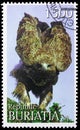 Postage stamp printed in Cinderellas shows Falcon, Buriatia Russia serie, circa 1997