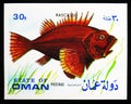 Postage stamp printed in Cinderellas shows Rascasse, Oman State of serie, circa 1972