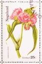 Postage stamp printed in Cinderellas shows Tradescantia virginia, Nagaland serie, circa 1974