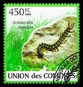 Postage stamp printed in Comoros shows Megarian Banded Centipede Scolopendra cingulata, Centipedes serie, circa 2009 Royalty Free Stock Photo