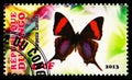 Postage stamp printed in Congo shows Marpesia Corinna, Butterflies serie, circa 2013