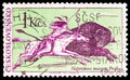 Postage stamp printed in Czechoslovakia shows Indian on horseback hunting buffalo, Indians of North America serie, circa 1966