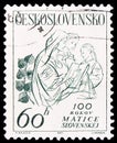 Postage stamp printed in Czechoslovakia shows Woman reading to children, Cultural Celebrities and Events serie, circa 1963