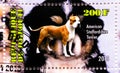 Postage stamp printed in Djibouti shows American staffordshire terrier, Dogs serie, circa 2013