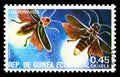 Postage stamp printed in Equatorial Guinea shows Firefly (Lampyridae sp.), Insects serie, circa 1978 Royalty Free Stock Photo