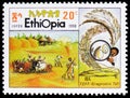 Postage stamp printed in Ethiopia shows Cattle, Cultivation of cereal Tef (Eragrostis tef) serie, circa 1990