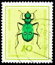 Postage stamp printed in Germany DDR, shows Green Tiger Beetle (Cicindela campestris), Beetles serie, 10 Pf. - East German pfennig