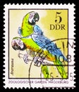 Postage stamp printed in Germany shows Blue-and-yellow Macaw (Ara ararauna), Zoo Animals serie, circa 1975