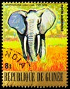 Postage stamp printed in Guinea shows African Elephant (Loxodonta africana), Endangered Animals serie, circa 1977 Royalty Free Stock Photo