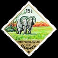 Postage stamp printed in Guinea shows African Elephant Loxodonta africana, African Wildlife serie, circa 1975 Royalty Free Stock Photo