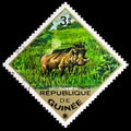 Postage stamp printed in Guinea shows Common Warthog Phacochoerus africanus, African Wildlife serie, circa 1975