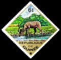 Postage stamp printed in Guinea shows Greater kudu Tragelaphus strepsiceros, African Wildlife serie, circa 1975
