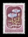 Postage stamp printed by Hungary