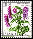 Postage stamp printed in Iceland shows Tufted vetch Vicia cracca, Flowers serie, circa 1988