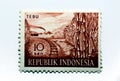 A postage stamp printed in Indonesia shows Sugar cane TEBU, Agricultural Products series, circa 1960