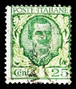 Postage stamp printed in Italy shows Effigy of King Vittorio Emanuele III and floral ornaments, Floreal serie, 25 Italian