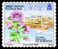 Postage stamp printed in Jersey shows Tree Mallow - Lavatera arborea, Offshore Reefs serie, circa 2003