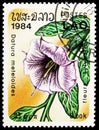 Postage stamp printed in Laos shows Datura meteloides, Flowers serie, circa 1984 Royalty Free Stock Photo