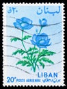 Postage stamp printed in Lebanon shows Anemone sp., Flowers serie, circa 1964 Royalty Free Stock Photo