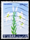 Postage stamp printed in Lebanon shows Lily, Flowers serie, circa 1964 Royalty Free Stock Photo