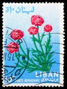 Postage stamp printed in Lebanon shows Ranunculus, Flowers serie, circa 1964 Royalty Free Stock Photo