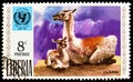 Postage stamp printed in Liberia shows Llama Lama glama, UNICEF serie, circa 1971