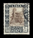 Postage stamp printed by Libya