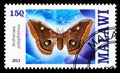 Postage stamp printed in Malawi shows Antheraea polyphemus, Butterflies serie, circa 2013