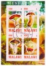 Postage stamp printed in Malawi shows Mushrooms serie, circa 2013