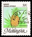 Postage stamp printed in Malaysia shows Ananas comosus, Pineapple, Tropical Fruits (1986-2000) serie, 50 Malaysian sen, circa 1986