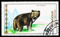 Postage stamp printed in Mongolia shows Asian Black Bear Ursus thibetanus, Bears and Giant Pandas serie, circa 1989