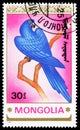 Postage stamp printed in Mongolia shows Hyazinth Macaw Anodorhynchus hyacinthinus, Parrots serie, circa 1990