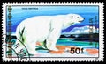Postage stamp printed in Mongolia shows Polar Bear Ursus maritimus, Bears and Giant Pandas serie, circa 1989