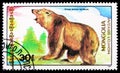 Postage stamp printed in Mongolia shows Syrian Brown Bear Ursus arctos syriacus, Bears and Giant Pandas serie, circa 1989