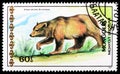 Postage stamp printed in Mongolia shows Tibetan Blue Bear Ursus arctos pruinosus, Bears and Giant Pandas serie, circa 1989