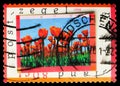 Postage stamp printed in Netherlands shows Blank stamp with optional vignettes with Field of tulips, Greetings Stamps serie, 80 c
