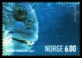 Postage stamp printed in Norway shows Atlantic wolffish (Anarhichas lupus), Marine life serie, 6 kr - Norwegian krone, circa 2004 Royalty Free Stock Photo