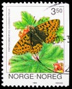 Postage stamp printed in Norway shows Freija Fritillary (Boloria freija/Clossiana freija), Butterflies serie, circa 1994