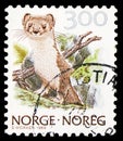 Postage stamp printed in Norway shows Stoat/Ermine (Mustela erminea), Nature serie, 3 kr - Norwegian krone, circa 1989