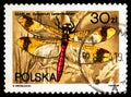 Postage stamp printed in Poland shows Banded Darter (Sympetrum pedemontanum), Dragonflies serie, circa 1988