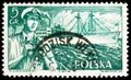Postage stamp printed in Poland shows Officer with binoculars and freightship S.S.Kilinski, Polish Merchant Navy serie, circa 1956 Royalty Free Stock Photo