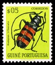 Postage stamp printed in Portuguese Guinea shows Long-horned Borer Beetle Analeptes trifasciata, Beetles serie, 5 c - Portuguese