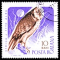Postage stamp printed in Romania shows Western Barn Owl Tyto alba, Birds of Prey serie, circa 1967 Royalty Free Stock Photo