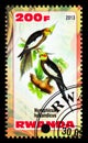 Postage stamp printed in Rwanda shows Cockatiel Nymphicus hollandicus, Parrots serie, circa 2013