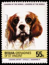 Postage stamp printed in Saint Vincent Grenadines shows Cavalier-King-Charles-Spaniel Canis lupus familiaris, BEQUIA - Dogs seri