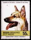 Postage stamp printed in Saint Vincent Grenadines shows German Shepherd Canis lupus familiaris, BEQUIA - Dogs serie, circa 1985
