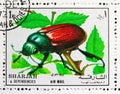 Postage stamp printed in Sharjah shows Beetles, Bugs serie, circa 1972